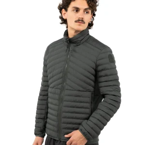 Dunfries Softshell Jas