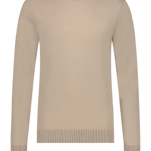 Aeden Normano turtle trui taupe kleur