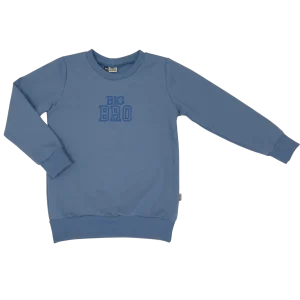 Geborduurde Baby en Kids Sweater Blauw Big Bro