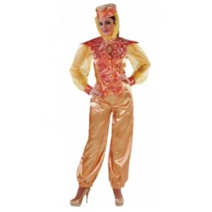 Harem Kostuum Goud Dames